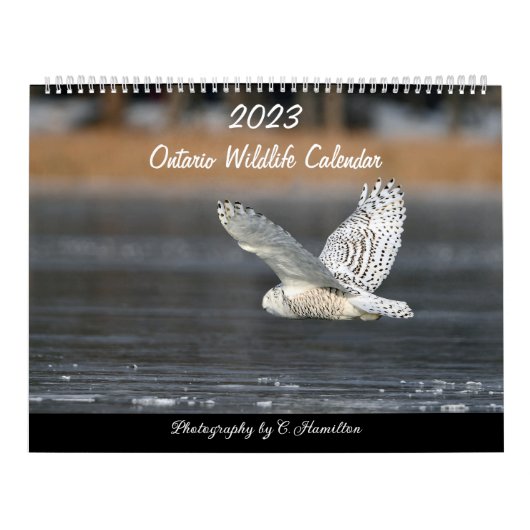 Twee pagina MediumCalendar, Wit Kalender (Hoes)