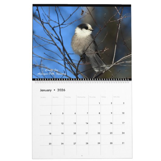Twee pagina MediumCalendar, Wit Kalender (Jan 2026)