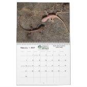 Twee pagina MediumCalendar, Wit Kalender (Feb 2027)