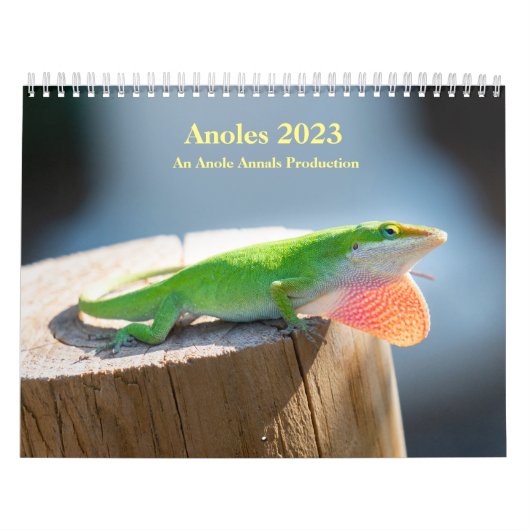 Twee pagina MediumCalendar, Wit Kalender (Hoes)