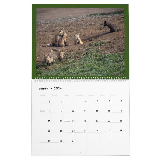 Twee pagina MediumCalendar, Wit Kalender (Mar 2026)