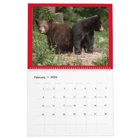 Twee pagina MediumCalendar, Wit Kalender (Feb 2026)