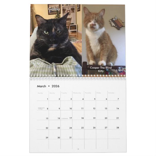 Twee pagina MediumCalendar, Wit Kalender (Mar 2026)