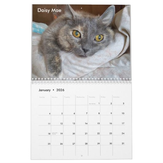 Twee pagina MediumCalendar, Wit Kalender (Jan 2026)