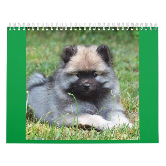 Twee pagina MediumCalendar, Wit Kalender (Hoes)