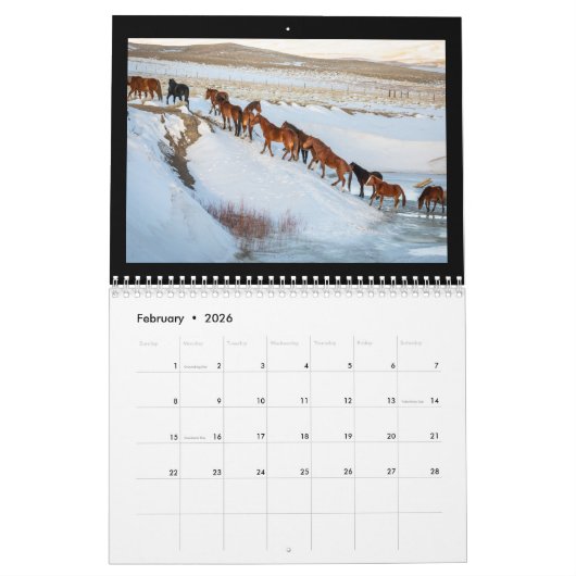 Twee pagina MediumCalendar, Wit Kalender (Feb 2026)