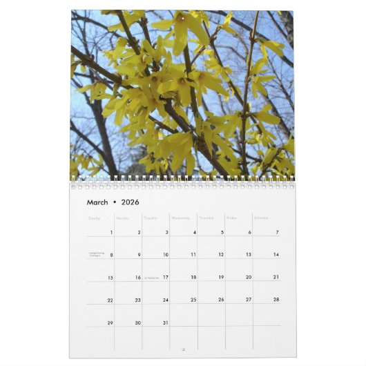 Twee pagina MediumCalendar, Wit Kalender (Mar 2026)