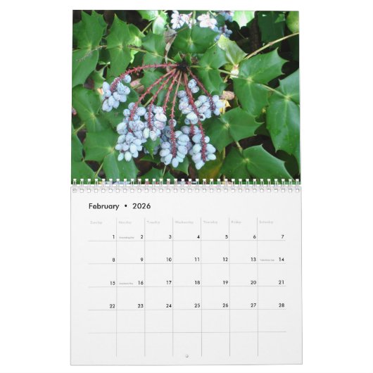Twee pagina MediumCalendar, Wit Kalender (Feb 2026)