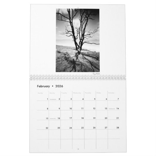 Twee pagina MediumCalendar, Witte Kalender (Feb 2026)