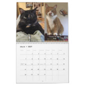 Twee pagina MediumCalendar, Witte Kalender (Mar 2027)