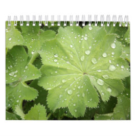 Twee pagina's, klein, 7 x 11 inch, witte agenda-la kalender