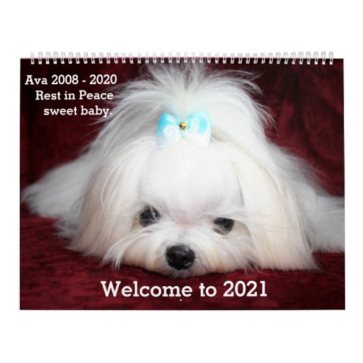 Twee pagina's: LargeCalendar, White Calendar Kalender (Hoes)