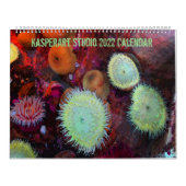 Twee pagina's: LargeCalendar, wit Kalender (Hoes)