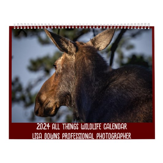 Twee pagina's: LargeCalendar, wit Kalender (Hoes)