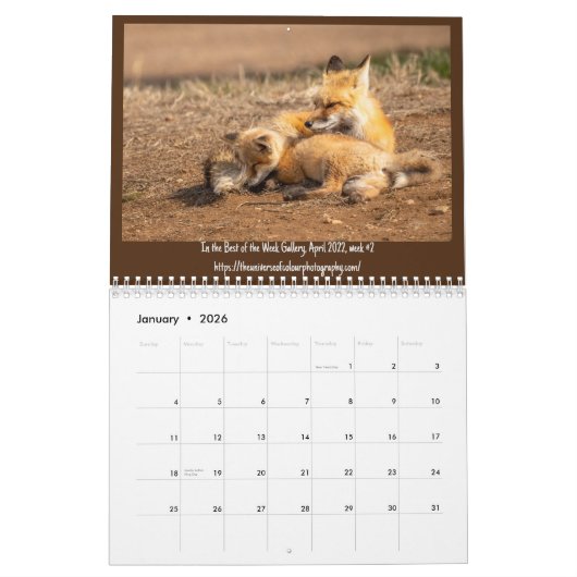 Twee pagina's: LargeCalendar, wit Kalender (Jan 2026)