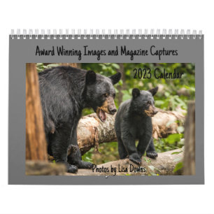 Twee pagina's: LargeCalendar, wit Kalender