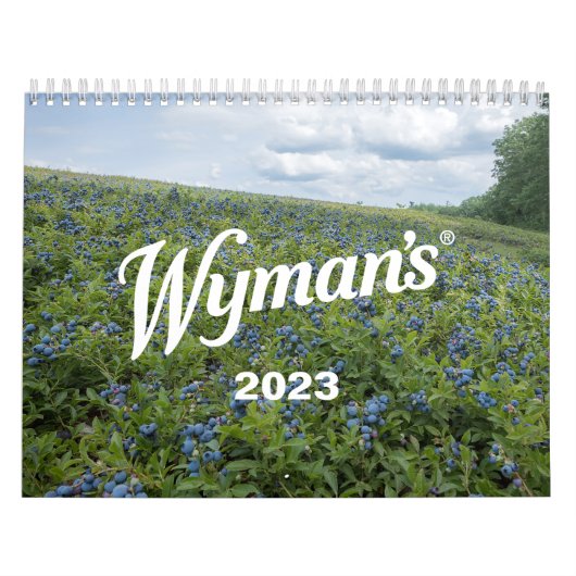 Twee pagina's Medium Kalender, Wit Kalender (Hoes)
