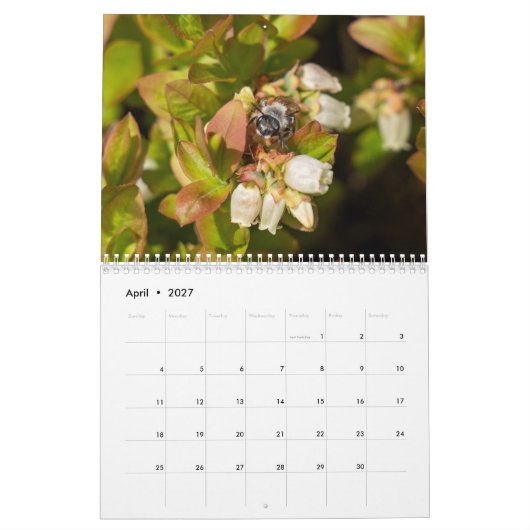 Twee pagina's Medium Kalender, Wit Kalender (Apr 2027)