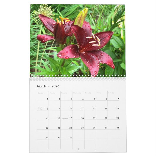  twee pagina's mediumfotokalender kalender (Mar 2026)