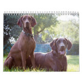 Twee pagina's, middelgroot, witte agenda kalender (Hoes)