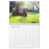 Twee pagina's, middelgroot, witte agenda kalender (Jan 2027)