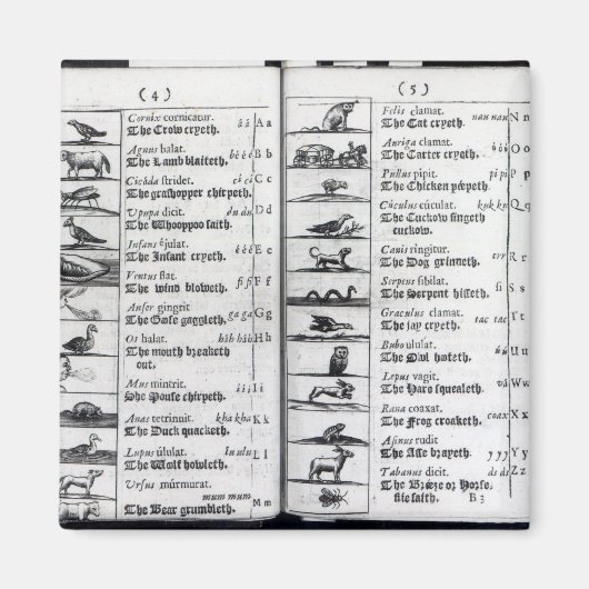 Twee pagina's van 'Orbis Sensualium Pictus' Magneet (Voorkant)
