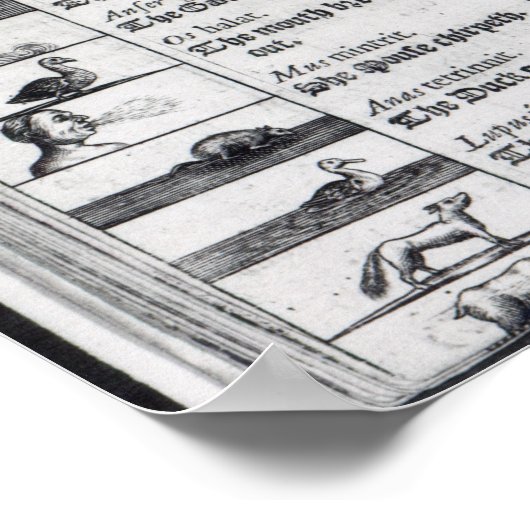 Twee pagina's van 'Orbis Sensualium Pictus' Poster (Hoek)