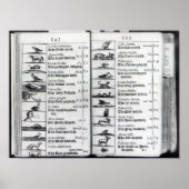 Twee pagina's van 'Orbis Sensualium Pictus' Poster (Voorkant)