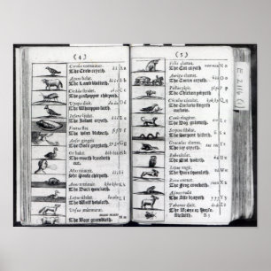 Twee pagina's van 'Orbis Sensualium Pictus' Poster