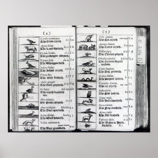 Twee pagina's van 'Orbis Sensualium Pictus' Poster (Voorkant)