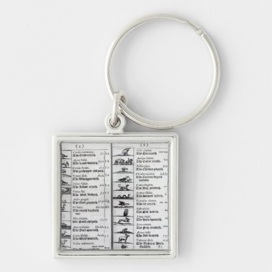 Twee pagina's van 'Orbis Sensualium Pictus' Sleutelhanger (Voorkant)