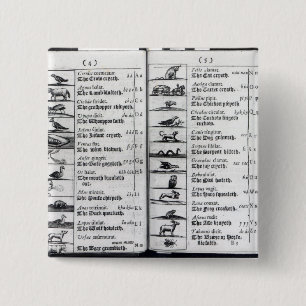 Twee pagina's van 'Orbis Sensualium Pictus' Vierkante Button 5,1 Cm