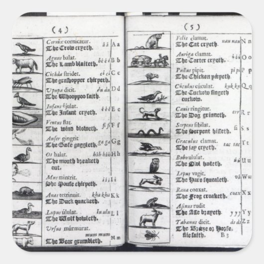 Twee pagina's van 'Orbis Sensualium Pictus' Vierkante Sticker (Voorkant)