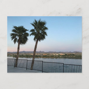 Twee Palm Trees Colorado in Laughlin Nevada Briefkaart