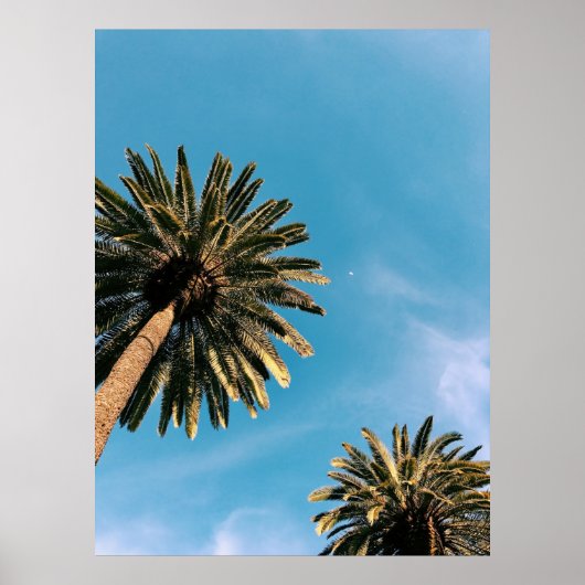 Twee palmbomen onder de blauwe hemel overdag poster (Voorkant)