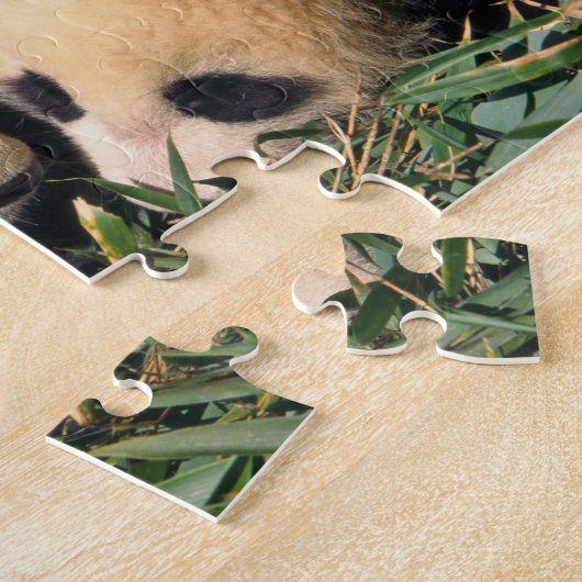 Twee panda cubs in de bamboe struik, Wolong, Legpuzzel (Zijkant)