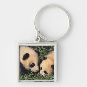 Twee panda welpen in de bamboestruik, Wolong, Sleutelhanger