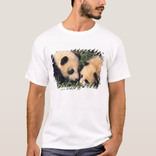 Twee panda welpen in de bamboestruik, Wolong, T-shirt