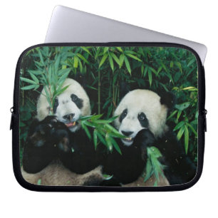 Twee panda's eten bamboe samen, Wolong Laptop Sleeve