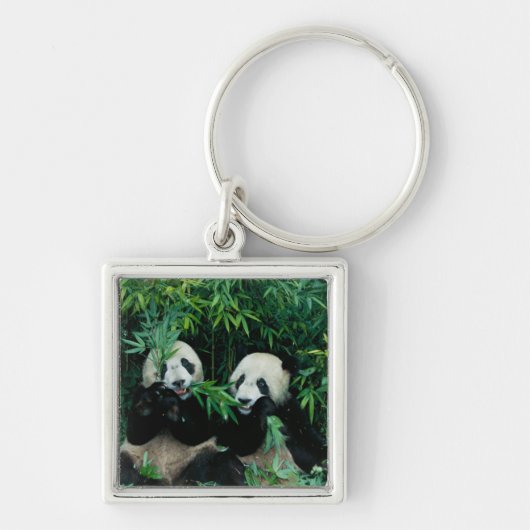 Twee panda's eten bamboe samen, Wolong Sleutelhanger (Voorkant)