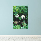 Twee panda's eten samen bamboe, Wolong Canvas Afdruk (Insitu (Houten vloer))