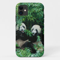 Twee panda's eten samen bamboe, Wolong