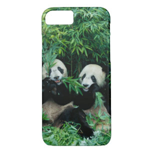 Twee panda's eten samen bamboe, Wolong iPhone 8/7 Hoesje