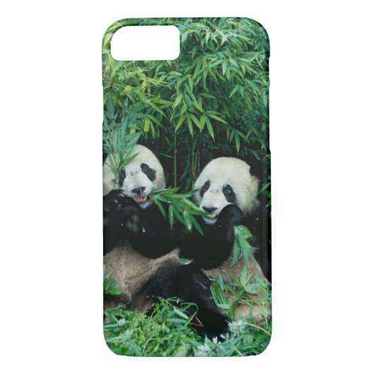 Twee panda's eten samen bamboe, Wolong Case-Mate iPhone Case (Achterkant)