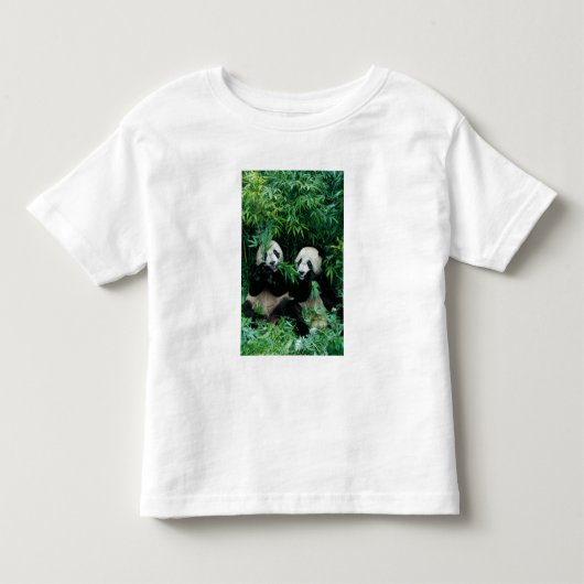 Twee panda's eten samen bamboe, Wolong Kinder Shirts (Voorkant)