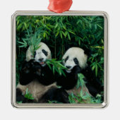 Twee panda's eten samen bamboe, Wolong Metalen Ornament (Voorkant)