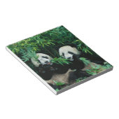 Twee panda's eten samen bamboe, Wolong Notitieblok (Schuin)