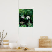 Twee panda's eten samen bamboe, Wolong Poster (Keuken)