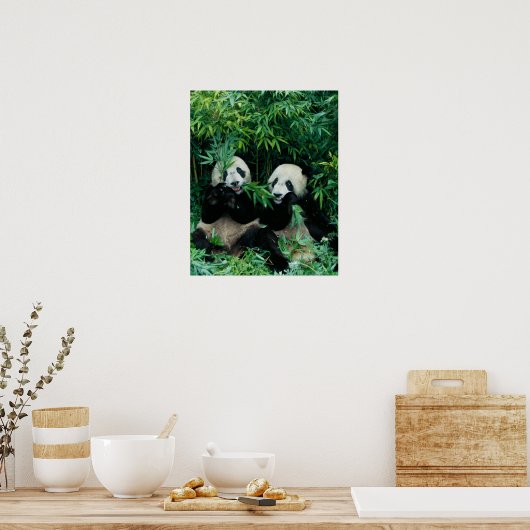 Twee panda's eten samen bamboe, Wolong Poster (Keuken)