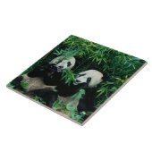 Twee panda's eten samen bamboe, Wolong Tegeltje (Zijkant)